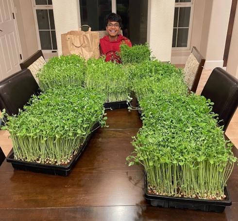 "Gardeners of the Galaxy" consists of five members who work together in an approved and licensed garage with a home-grower certification from Alameda County. (Contributed photo)